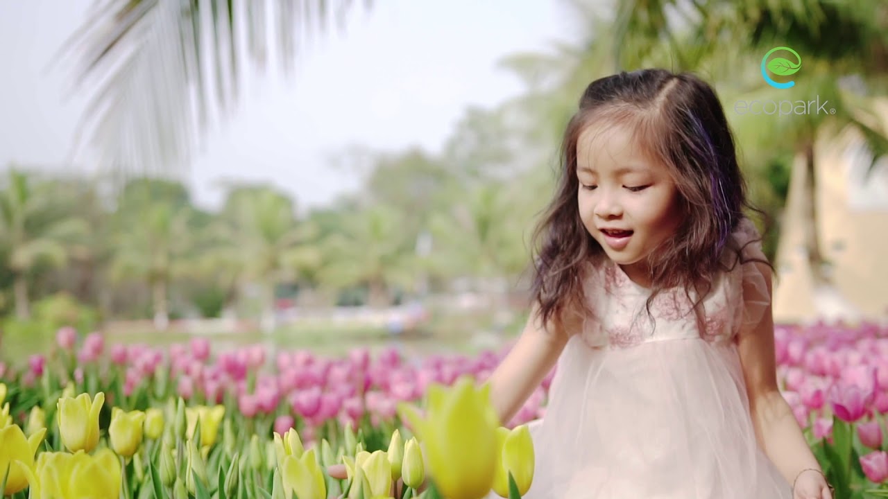 Ecopark TV | Mãn Nhãn Với Lễ Hội Hoa Tulip Sắc Màu Hà Lan tại Ecopark 2018