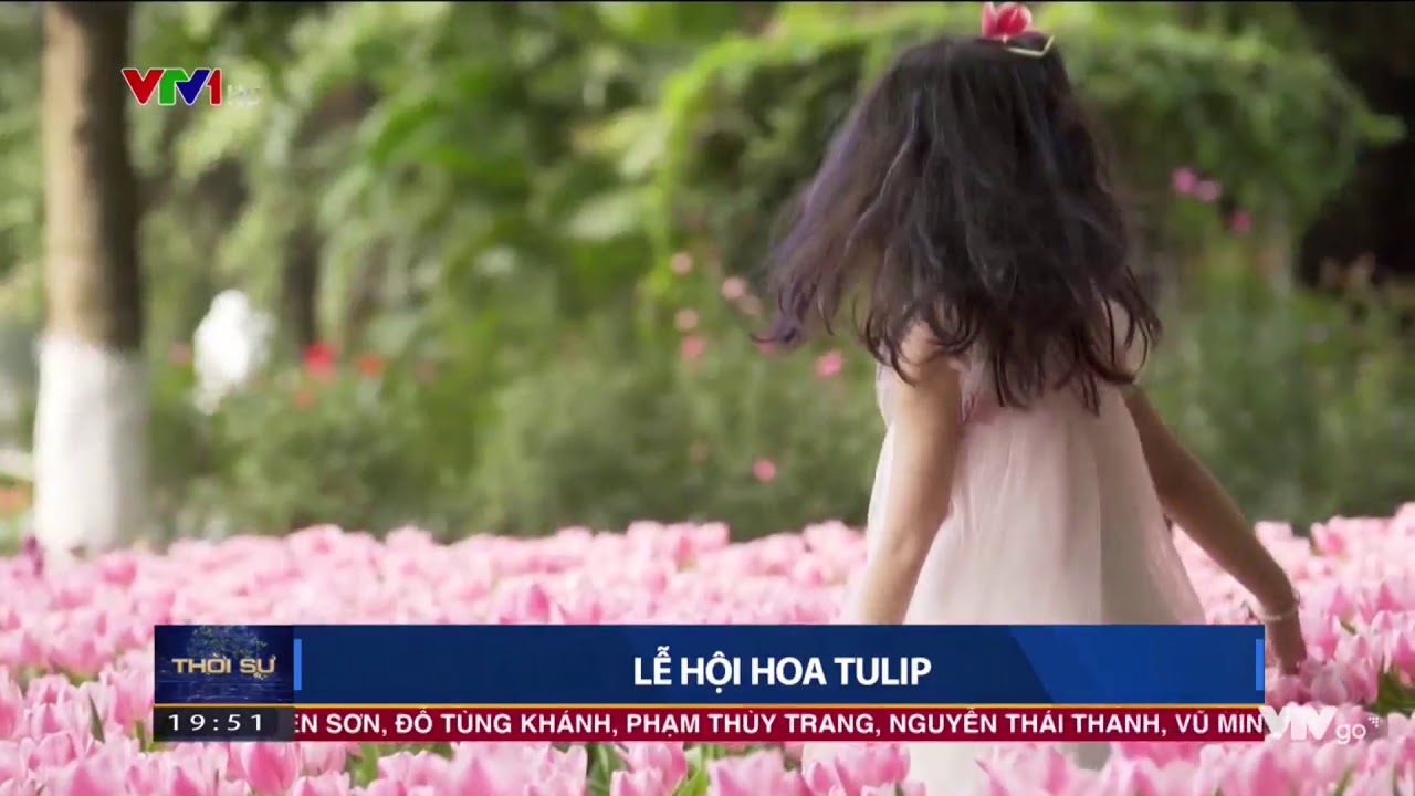Ecopark TV | [VTV1 19h] [28122018] [Lễ hội hoa Tulip Ecopark 2018]