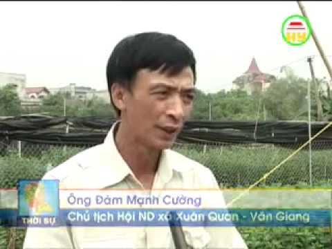 Ecopark TV | Ecopark TH HY Hieu qua tich cuc cua cac khoa hoc day nghe cho 3 xa du an do Ecopark tai tro