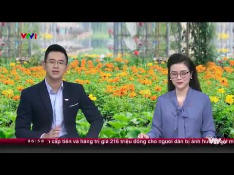 Ecopark TV | VTV1/Chào buổi sáng/21072018/ Làng hoa trẻ Xuân Quan thành công nhờ lối đi riêng