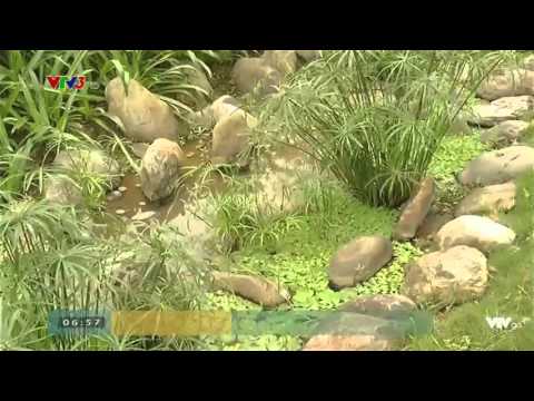 Ecopark TV | [VTV3] [09/05/2016] Vấn đề nước sạch tại các khu đô thị
