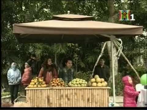 Ecopark TV | Đến EcoSunday tận hưởng không khí Giáng sinh Ecopark