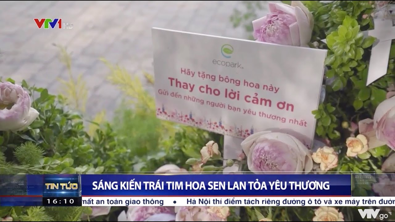 Ecopark TV | SÁNG KIẾN TRÁI TIM HOA SEN LAN TOẢ YÊU THƯƠNG – VTV1