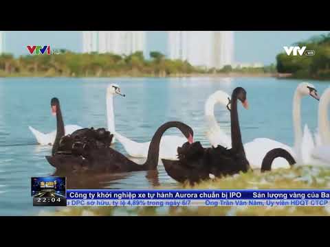 Ecopark TV | BẤT ĐỘNG SẢN CHĂM SÓC SỨC KHOẺ – XU HƯỚNG MỚI TRÊN THỊ TRƯỜNG – VTV1