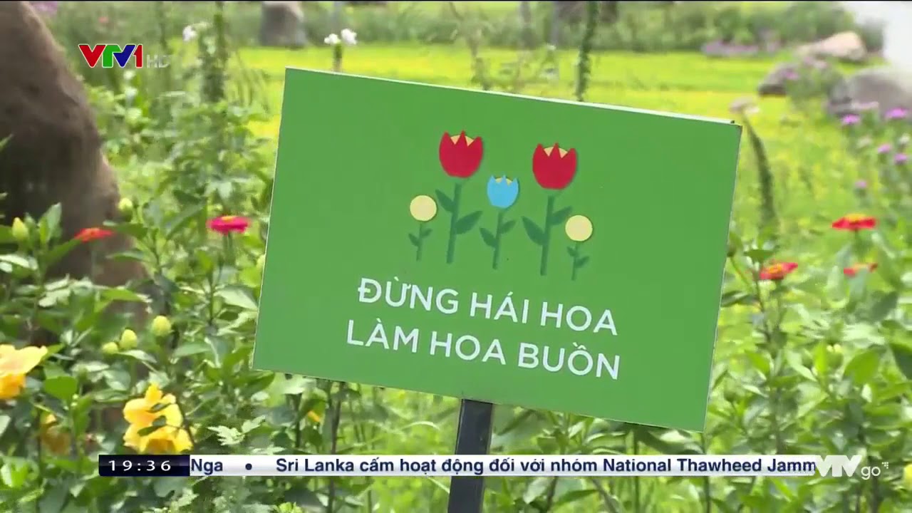 Ecopark TV | Choi voi thien nhien – VTV1- Thời sự 19h – 28.04.2019
